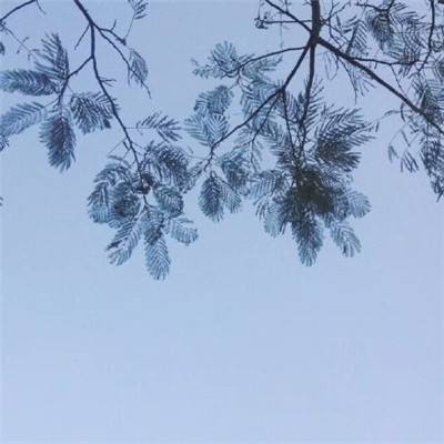 武尊天下游戏下载
