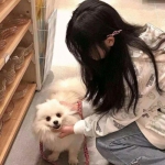 百度萌将风云手游下载
